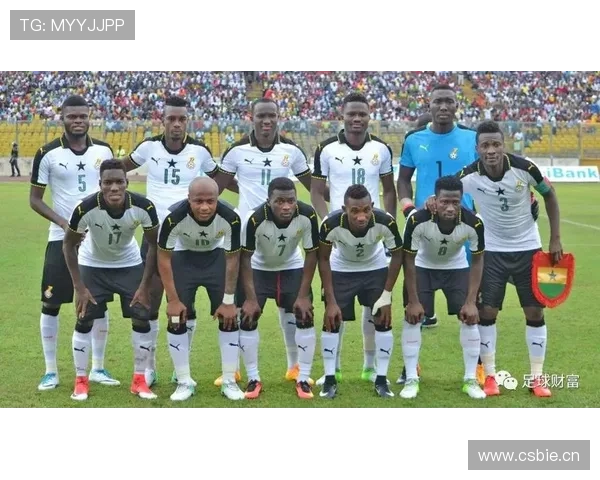 非洲国家队昵称大全 非洲国家队昵称大全