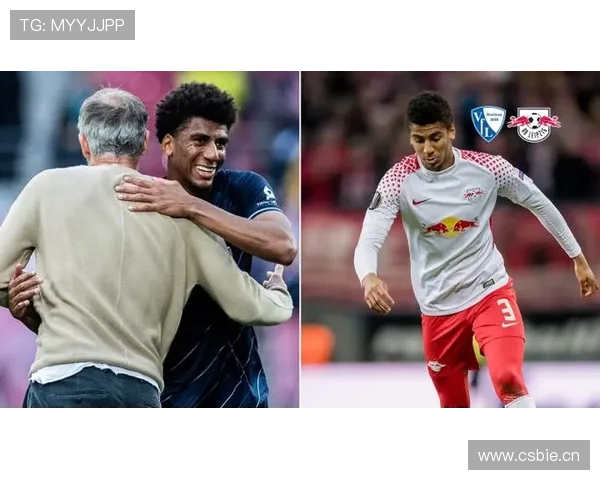 莱比锡球迷文化争议:球队持续发展的隐忧与长远影响