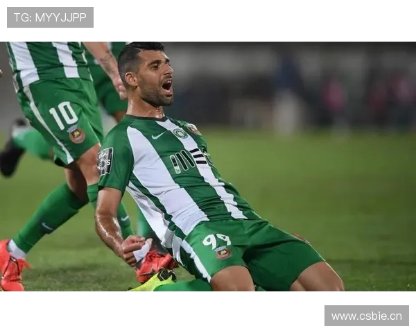 塔雷米本赛季表现稳健,领跑亚洲最佳前锋讨论 塔雷米本赛季表现稳健,领跑亚洲最佳前锋讨论