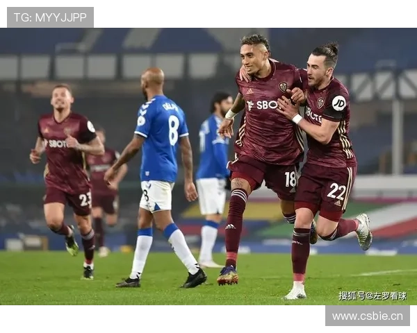 拉菲尼亚关键战表现稳定性解析