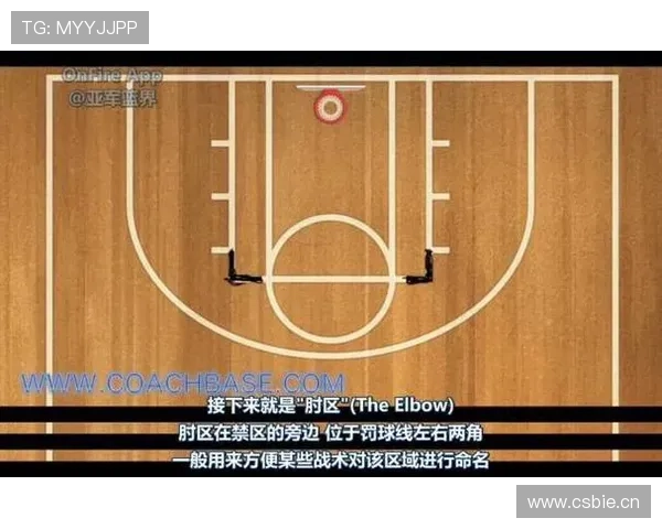 深度解读三秒规则国际差异对不同联赛进攻违例判定的影响